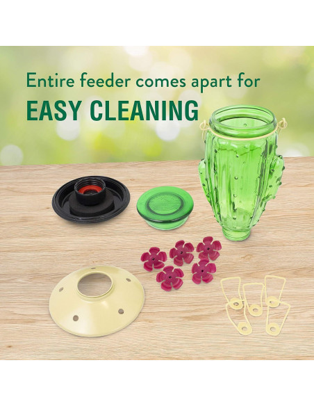 Alimentador de Colibríes Perky-Pet 9111-1SR Vidrio 0.95L Cactus