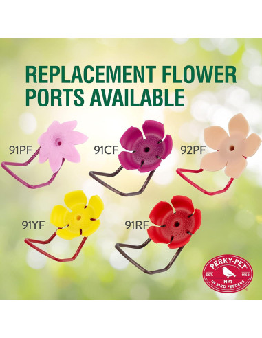 Alimentador de Colibríes Perky-Pet 9111-1SR Vidrio 0.95L Cactus