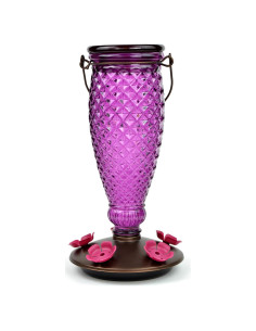 Alimentador de colibríes Perky-Pet 9102-1SR vidrio 710 ml