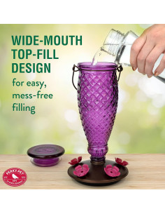 Alimentador de colibríes Perky-Pet 9102-1SR vidrio 710 ml 2