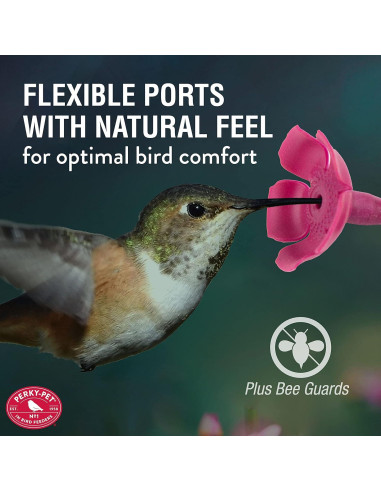 Alimentador de colibríes Perky-Pet 9102-1SR vidrio 710 ml