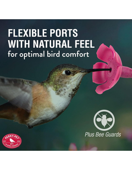 Alimentador de colibríes Perky-Pet 9102-1SR vidrio 710 ml