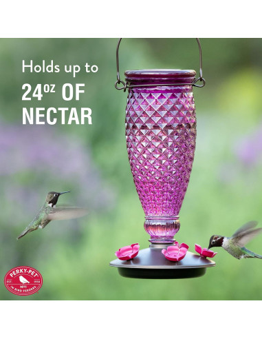 Alimentador de colibríes Perky-Pet 9102-1SR vidrio 710 ml