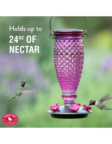 Alimentador de colibríes Perky-Pet 9102-1SR vidrio 710 ml