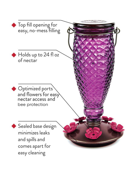 Alimentador de colibríes Perky-Pet 9102-1SR vidrio 710 ml