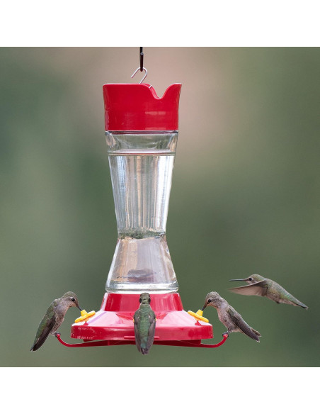 Alimentador de Colibríes Perky-Pet 210PB Vidrio 473 ml Rojo