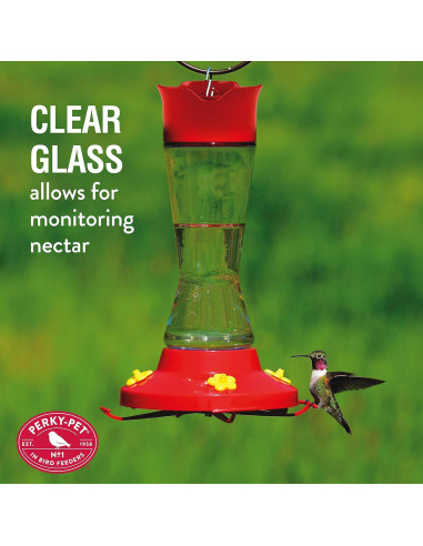 Alimentador de Colibríes Perky-Pet 210PB Vidrio 473 ml Rojo