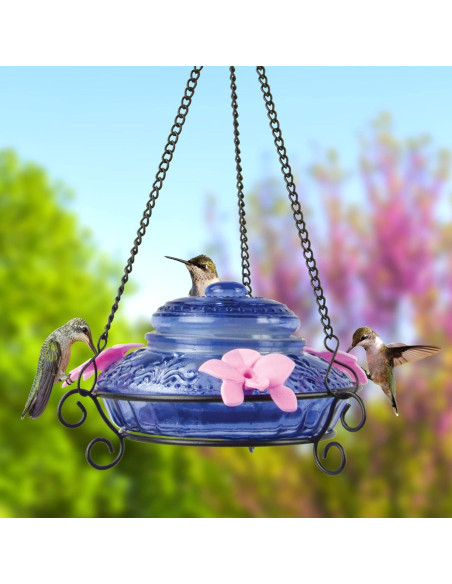 Alimentador de Colibríes Nature's Way ANTHF2-I Iluminado 414ml