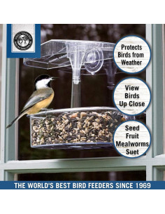 Comedero para Aves Droll Yankees Observer Ventana 2 Tazas 2