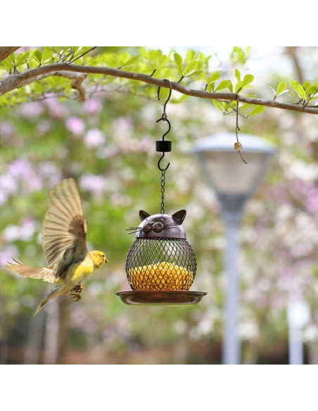 Moat Ant MR.FOAM para Alimentador de Colibrí Negro 44ml