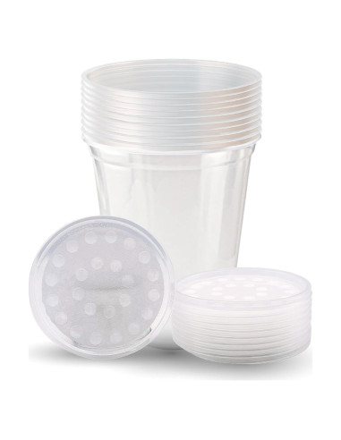 Tazas Deli Snout and Shell 32oz con tapas ventiladas - Paquete de 10
