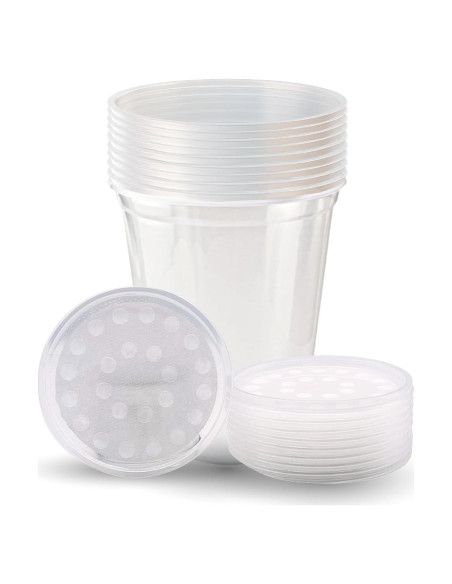Tazas Deli Snout and Shell 32oz con tapas ventiladas - Paquete de 10 Tazas Deli Snout and Shell 32oz con tapas ventiladas - Paquete de 10