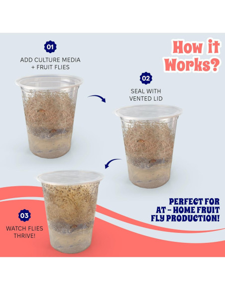 Tazas Deli Snout and Shell 32oz con tapas ventiladas - Paquete de 10 Tazas Deli Snout and Shell 32oz con tapas ventiladas - Paquete de 10