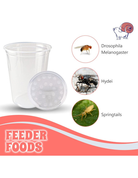 Tazas Deli Snout and Shell 32oz con tapas ventiladas - Paquete de 10 Tazas Deli Snout and Shell 32oz con tapas ventiladas - Paquete de 10