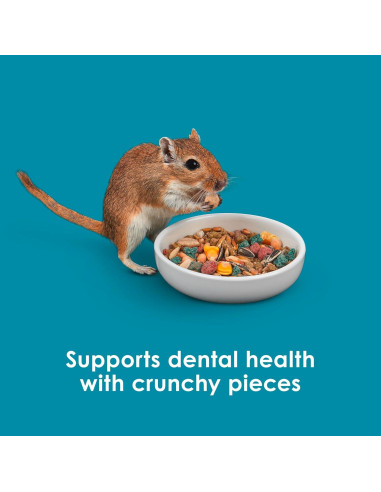 Comida para Hámster y Jerbo Kaytee Forti-Diet 1.36 kg