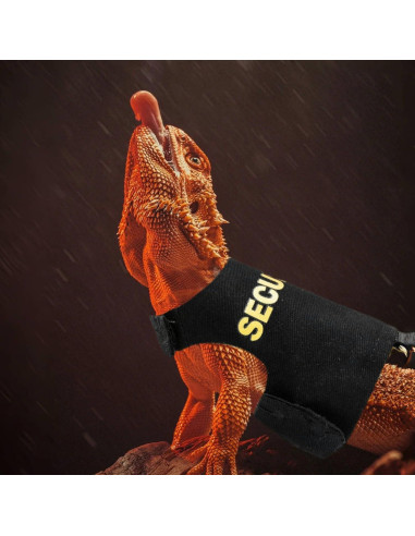 Arnés y Correa para Dragón Barbudo TTMIMIK - Seguridad y Estilo