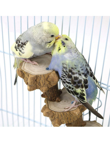 Juguete para Periquitos Luonfels con Escalera de Madera 4 Pasos