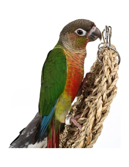 Alfombra de Hierba Marina FBIRDY 75x18 cm para Aves y Mascotas