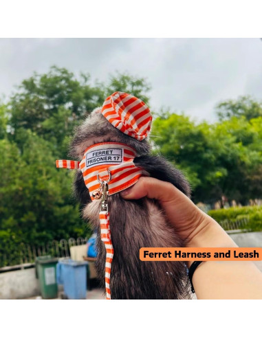 Arnés y Correa Ajustable para Hurones FORZENA Naranja