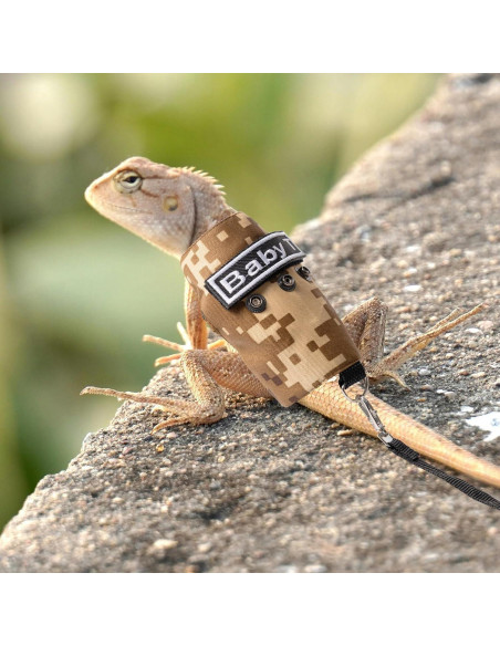 Conjunto Arnés y Correa Swirge para Dragón Barbudo Marrón Conjunto Arnés y Correa Swirge para Dragón Barbudo Marrón