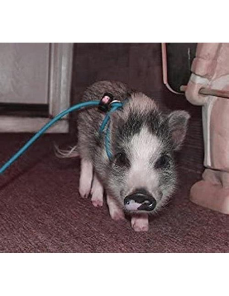 Arnés Ajustable 3.66m Piggy Poo para Mini Cerdo y Mascotas