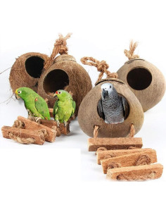 Casa de Pájaro Colgante Hamiledyi de Coco Natural 13cm 2