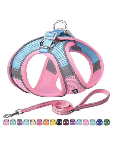 Arnés para Perro AIITLE Rosa XXS con Correa Reflectante