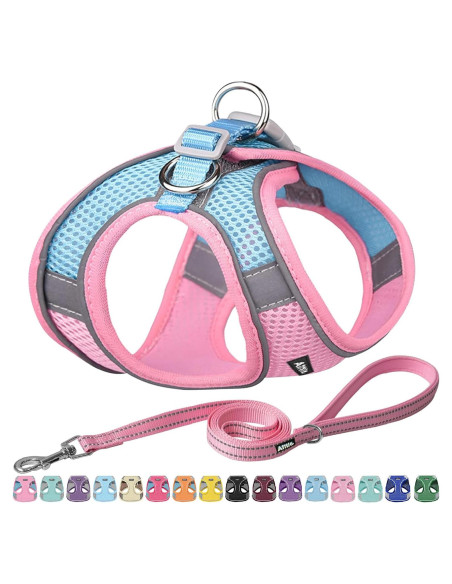 Arnés para Perro AIITLE Rosa XXS con Correa Reflectante Arnés para Perro AIITLE Rosa XXS con Correa Reflectante