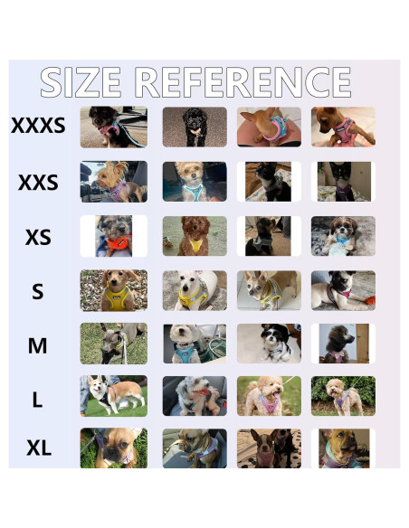 Arnés para Perro AIITLE Rosa XXS con Correa Reflectante Arnés para Perro AIITLE Rosa XXS con Correa Reflectante