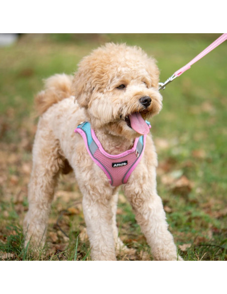 Arnés para Perro AIITLE Rosa XXS con Correa Reflectante Arnés para Perro AIITLE Rosa XXS con Correa Reflectante