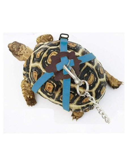 Arnés y Correa Ajustable para Tortugas FORZENA Azul S Arnés y Correa Ajustable para Tortugas FORZENA Azul S