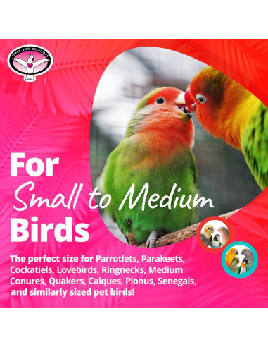 Juguete para Aves Super Bird Creations Mini Starburst 14x6.4cm