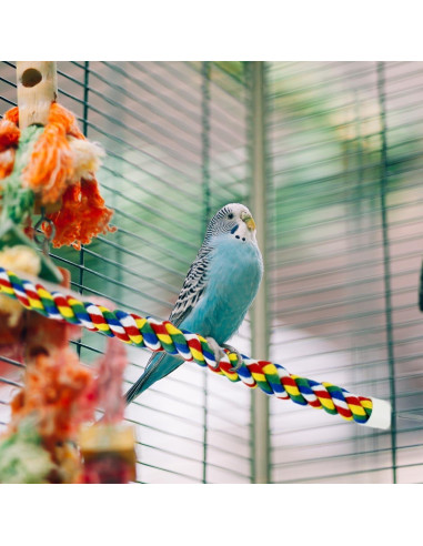 Percha de Cuerda para Aves Yuntop 60 cm - Columpio Colorido