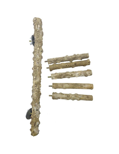Escalera de Madera Natural Clais para Aves y Perchas 3 PCS