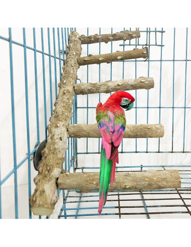 Escalera de Madera Natural Clais para Aves y Perchas 3 PCS