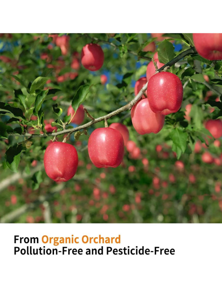 Soporte de Juego para Aves Xlpeixin 20cm Madera Natural