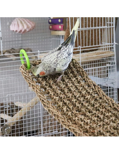 Alfombra de Hierba Marina Natural Dnoifne 100x18 cm para Aves