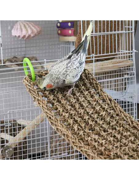 Alfombra de Hierba Marina Natural Dnoifne 100x18 cm para Aves