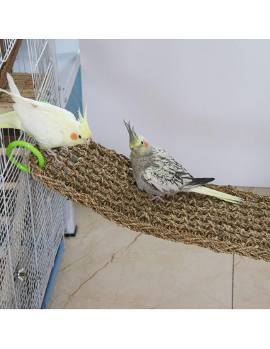 Alfombra de Hierba Marina Natural Dnoifne 100x18 cm para Aves