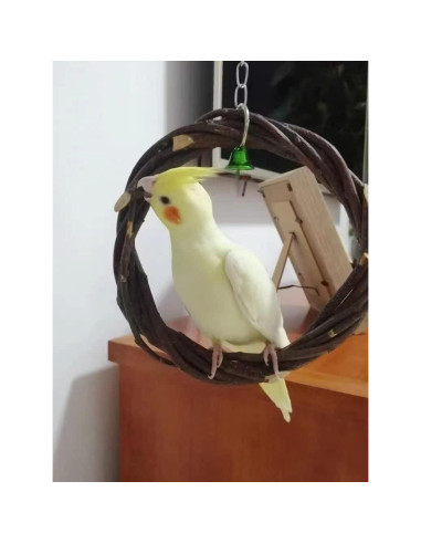 Perchas de Madera Natural para Aves Kathson - 8 Piezas