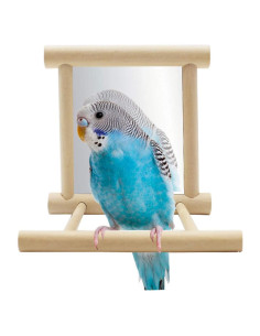 Juguete Espejo para Loro Hypeety con Columpio y Percha