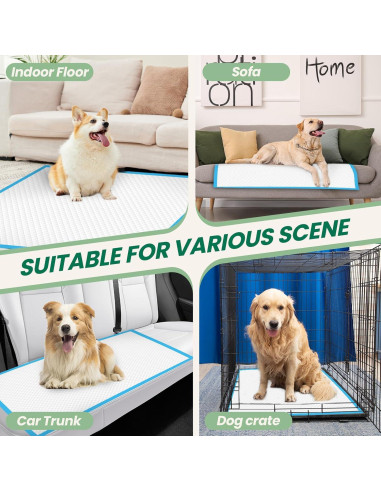 100 Almohadillas Absorbentes IMMCUTE 76x71cm para Perros y Gatos