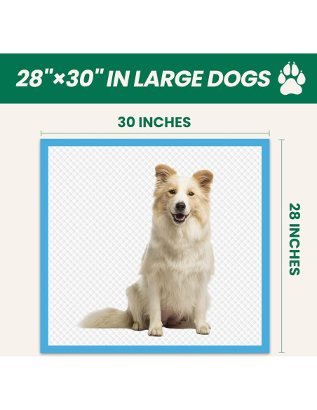 100 Almohadillas Absorbentes IMMCUTE 76x71cm para Perros y Gatos