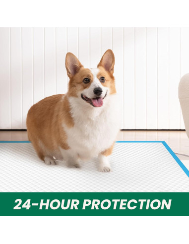 100 Almohadillas Absorbentes IMMCUTE 76x71cm para Perros y Gatos