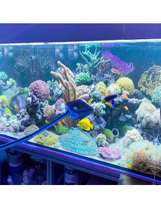 3 Cepillos de Limpieza de Algas AOODOOM para Acuario Antideslizante 2