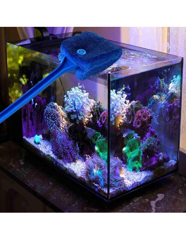 3 Cepillos de Limpieza de Algas AOODOOM para Acuario Antideslizante