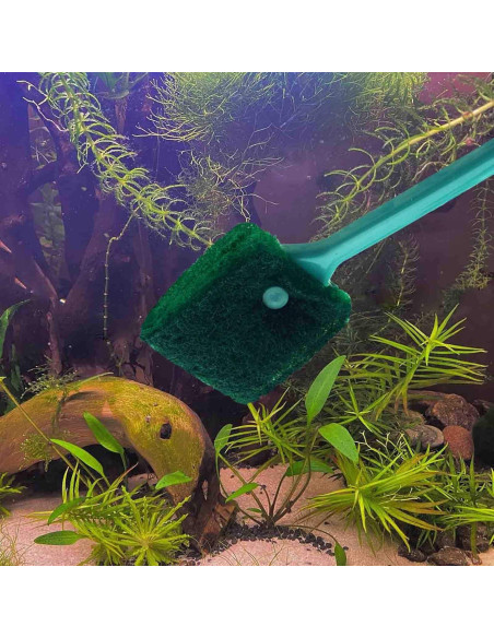 3 Cepillos de Limpieza de Algas AOODOOM para Acuario Antideslizante 3 Cepillos de Limpieza de Algas AOODOOM para Acuario Antideslizante