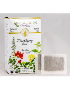 Hoja de Mora Orgánica Celebración Herbals 24 Bolsas 29g 2