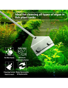 Raspador de Algas Acero Inoxidable 304 Famgee 65 cm con 10 Cuchillas 2