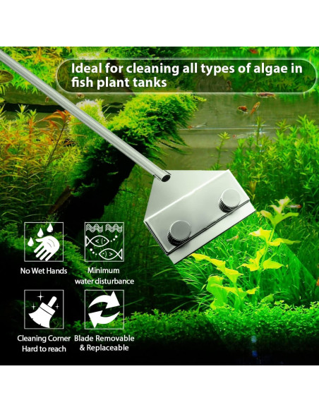 Raspador de Algas Acero Inoxidable 304 Famgee 65 cm con 10 Cuchillas